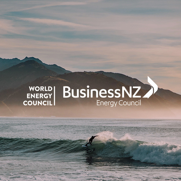BEC Submission on Building a climate resilient NZ