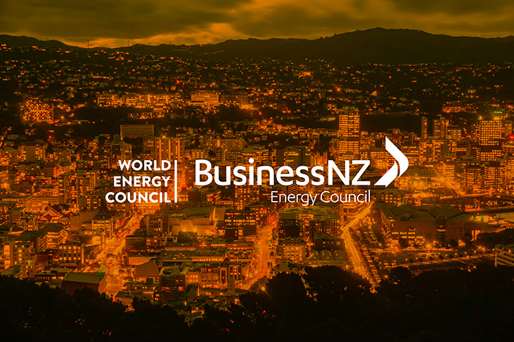 World Energy Issues Monitor 2016 – New Zealand and the World