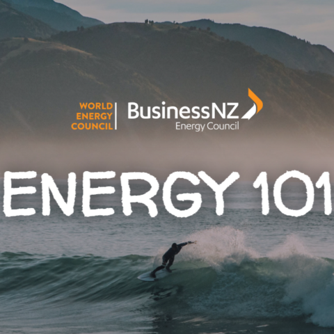 Businessnz Energy Council 